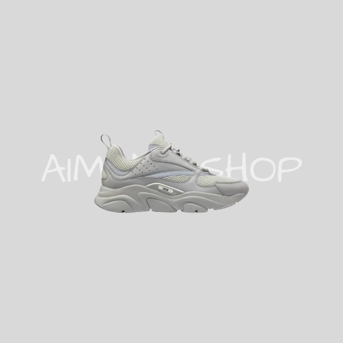 B22's Grey